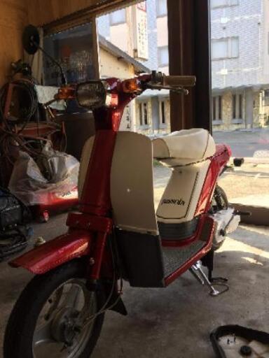 旧車 原付 ヤマハ パッソーラ | vaearts.org