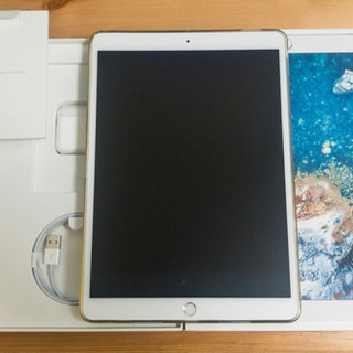 【ネット決済・配送可】(美品 総額8万程度)iPad Pro 1...