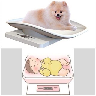 犬用体重計またはベビースケールありませんか？