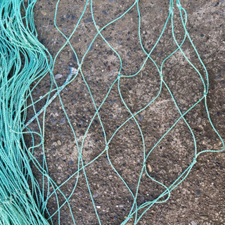 海苔網（二枚1セット）獣除け、グリーンカーテンなどに