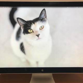 【週末限定値下げ】apple LED cinema display 24インチ
