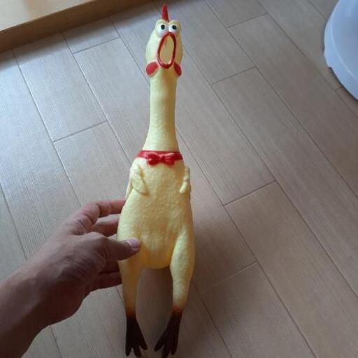 鳥のおもちゃガーガー鳴きます 断捨離中 だい 宮原のおもちゃの中古あげます 譲ります ジモティーで不用品の処分 鳥のおもちゃガーガー鳴きます 断捨離中 だい 宮原のおもちゃの中古あげます 譲ります ジモティーで不用品の処分