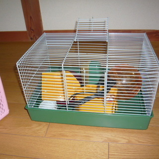 ハムスター飼育セット一式