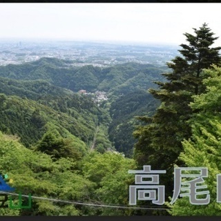 8月14日の金曜日に一緒に高尾山に登れる方募集