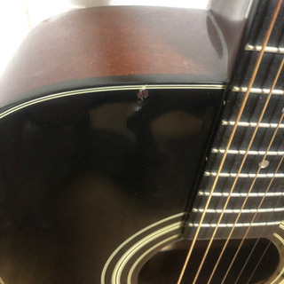 Morris M-205TS アコースティックギター