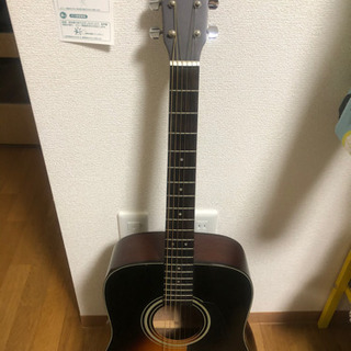 Morris M-205TS アコースティックギター