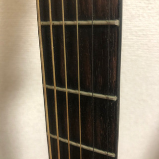 Morris M-205TS アコースティックギター