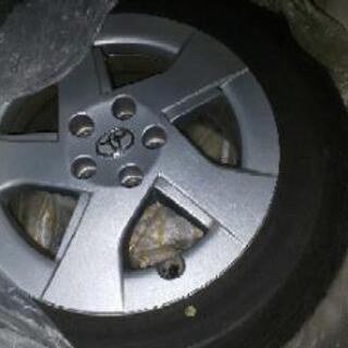 飼育引退品】乗用車でお届けします！飼育ケースパン屋さん型穴開け済み