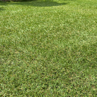 値下げ】人工芝 2m × 6m 芝高30mm（場所によってはお届けします）