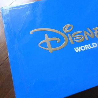 DWE　ステップバイステップ　DVD