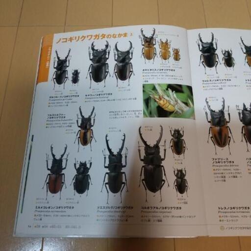 小学館の図鑑 Neo カブトムシ クワガタムシ ウミガメ 茅ケ崎の参考書の中古あげます 譲ります ジモティーで不用品の処分 小学館の図鑑 Neo カブトムシ クワガタムシ ウミガメ 茅ケ崎の参考書の中古あげます 譲ります ジモティーで不用品の処分