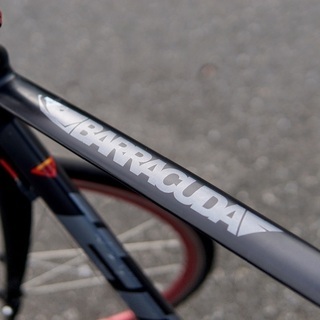 FUJI BARRACUDA Tiagra 56 XL (178-186cm)
