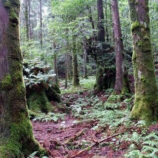 泉州登山仲間募集！