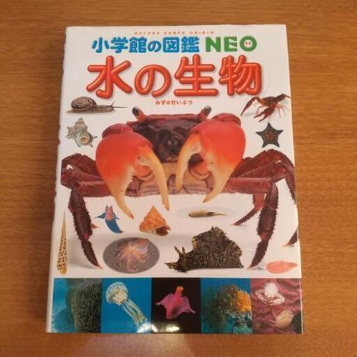 小学館の図鑑 Neo 水の生物 ウミガメ 茅ケ崎の参考書の中古あげます 譲ります ジモティーで不用品の処分 小学館の図鑑 Neo 水の生物 ウミガメ 茅ケ崎の参考書の中古あげます 譲ります ジモティーで不用品の処分