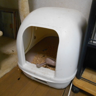猫ちゃんトイレ　美品　40×50ｃｍ　小平発！
