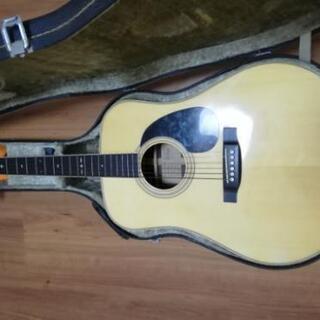TOKAI Cat's Eyes キャッツアイ アコースティックギターCE300 assurwi.ma