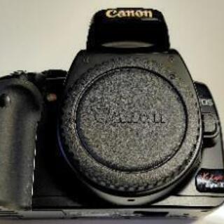 Canon キヤノン EOS kiss Digital X Wレンズセット（おまけ付き）