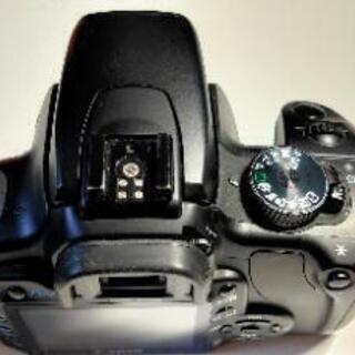 Canon キヤノン EOS kiss Digital X Wレンズセット（おまけ付き）