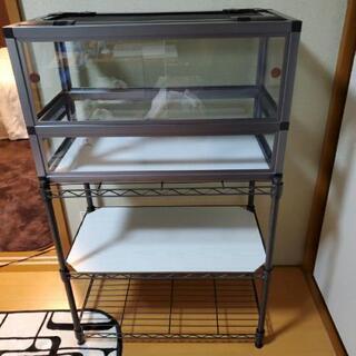 爬虫類ケージ60 45 45
