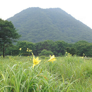 【残り１名】８月３０日（日）榛名湖一周ハイキングとゆうすげの道    