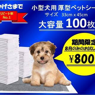 小型犬用ペットシーツ100枚入り　期間限定お試し価格　８月中のみ