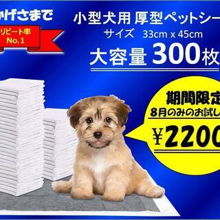 小型犬用ペットシーツ300枚入り　期間限定お試し価格　８月中のみ