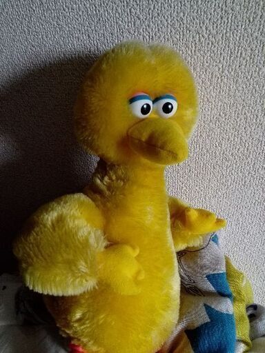 セサミストリートビッグバードのぬいぐるみ ココア 大和西大寺のその他の中古あげます 譲ります ジモティーで不用品の処分 セサミストリートビッグバードのぬいぐるみ ココア 大和西大寺のその他の中古あげます 譲ります ジモティーで不用品の処分