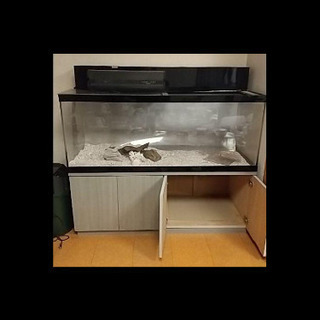 アクリル大型水槽1500x600x600 アクリル大型水槽1500x600x600 （アクリル水槽 W1500×D450