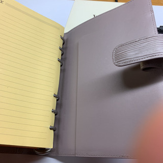 ルイ•ビィトン　エピタイガ　春の限定色　アジェンダMM