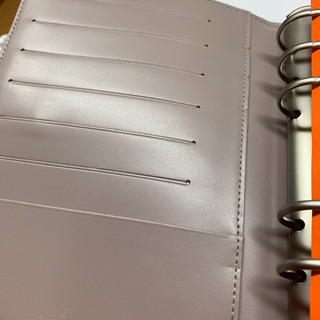 ルイ•ビィトン　エピタイガ　春の限定色　アジェンダMM