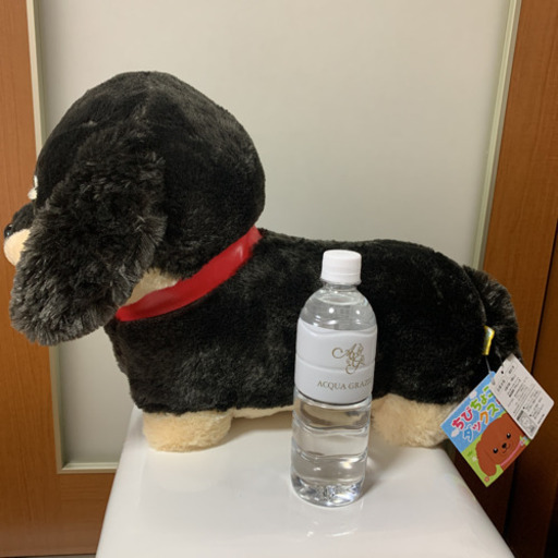 飼い主が決まりました 受け渡し待ち新品未使用大きいダックスフンドぬいぐるみbigサイズ犬インテリア抱き枕おもちゃ りん 石岡のおもちゃ ぬいぐるみ の中古あげます 譲ります ジモティーで不用品の処分