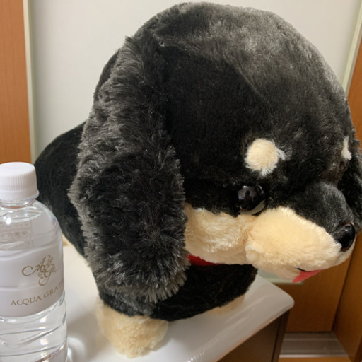 飼い主が決まりました 受け渡し待ち新品未使用大きいダックスフンドぬいぐるみbigサイズ犬インテリア抱き枕おもちゃ りん 石岡のおもちゃ ぬいぐるみ の中古あげます 譲ります ジモティーで不用品の処分