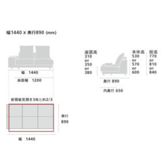 NOYES Decibel Professinal 2人掛け　オットマン付き