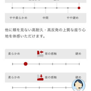 NOYES Decibel Professinal 2人掛け　オットマン付き