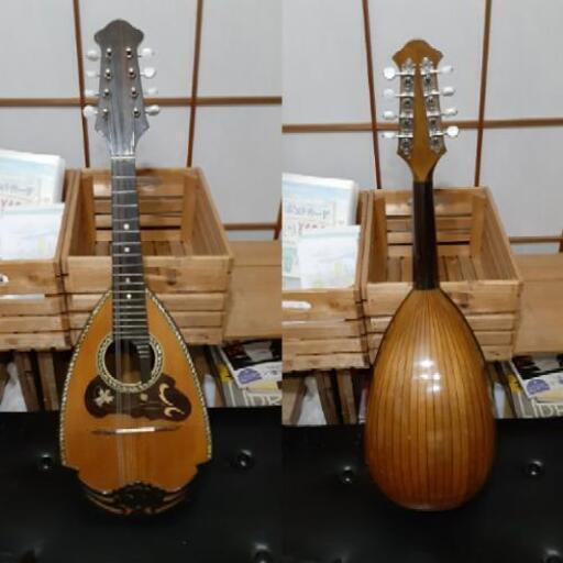 ジャパンオールドSuzuki No.206 マンドリン（再生品/大特価）
