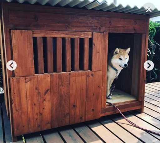 犬小屋をdiyしたいので手伝って欲しいです 百田 藤枝の手伝って 助けての助け合い ジモティー 犬小屋をdiyしたいので手伝って欲しいです 百田 藤枝の手伝って 助けての助け合い ジモティー