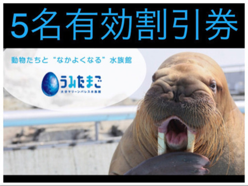 最大500円割引 うみたまご 割引券 5名まで割引可能 セイリュウ 大分の食品の中古あげます 譲ります ジモティーで不用品の処分