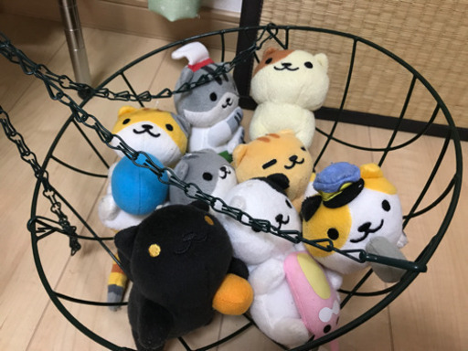 ねこあつめ ぬいぐるみ 8体 セット かご付き いっし 沢ノ町のその他の中古あげます 譲ります ジモティーで不用品の処分 ねこあつめ ぬいぐるみ 8体 セット かご付き いっし 沢ノ町のその他の中古あげます 譲ります ジモティーで不用品の処分