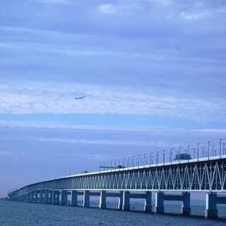 航空機への航空貨物搭載作業 - 泉佐野市