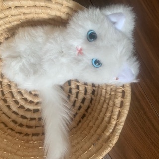 【お話中】白猫　ポーチ