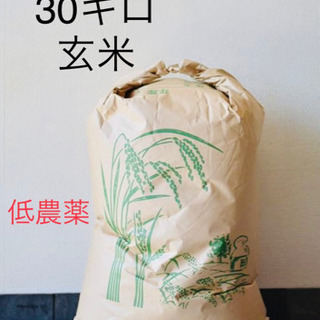 三重コシヒカリ 30kg 【新米】【低農薬】【1等米】