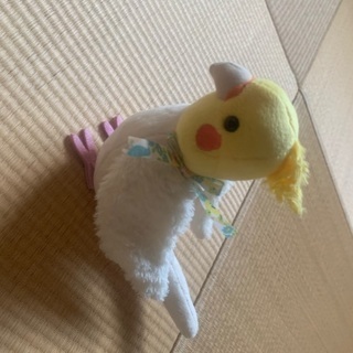 オカメインコ　ぬいぐるみ