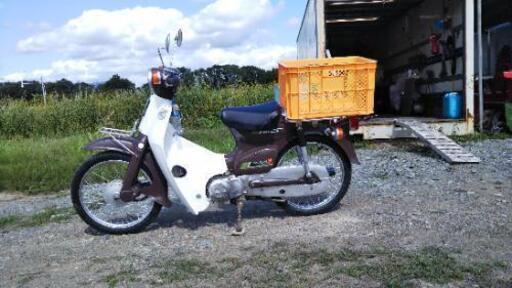 HONDA スーパーカブ50