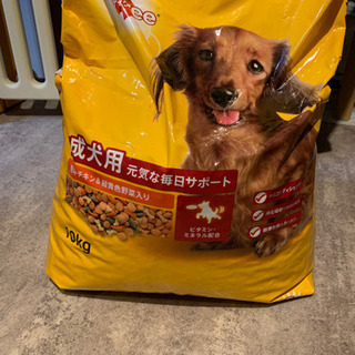 犬　成犬用