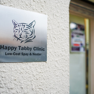 猫の不妊手術専門動物病院での受付・事務スタッフ募集