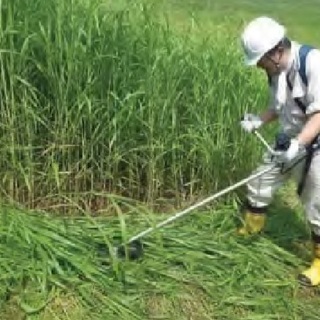 空き家のお庭の草刈り　雑草でお困りの方