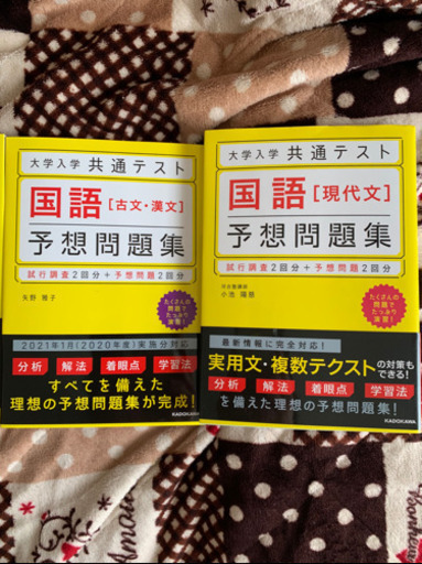 大学入学　共通テスト　参考書　新品　未使用