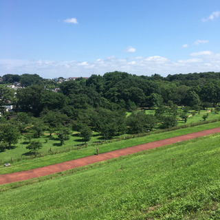 ボランティア参加します