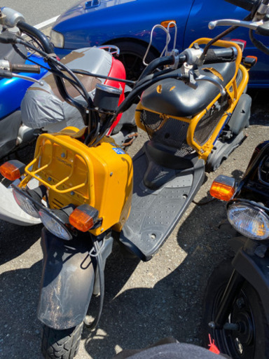 HONDA  ズーマー　黄色　実動　AF58-150 福岡市南区