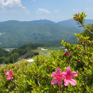 週末ゴルフ仲間探し